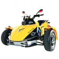 3Wheels Electric Atv Reverse Trike Adult Trick 3 Wheel Tricycle with CE