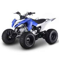 Off Road Tyres Petrol Powered Racing Quad Bike Cool Sport ATV 250CC for Adults